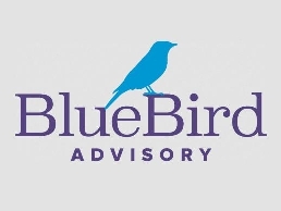 https://bluebirdadvisory.com/ website