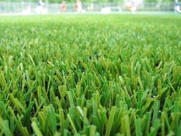 https://www.artificialgrasssheffield.net/ website