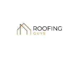 https://roofingguysbrisbane.com.au/ website