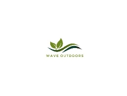 https://waveoutdoors.com/ website