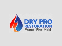 https://dryproexperts.com/ website