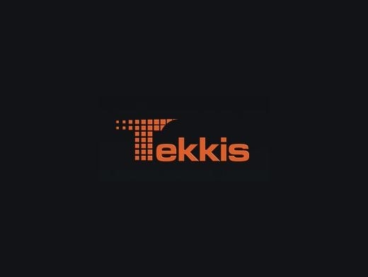 https://tekkis.com/cybersecurity-services website