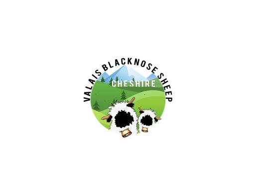 https://valaisblacknosesheepcheshire.co.uk/ website