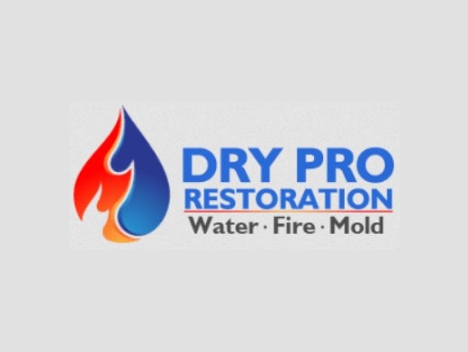 https://dryproexperts.com/ website